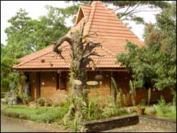 Tree of Life Srilanka