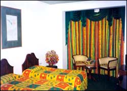 Galway Forest Lodge