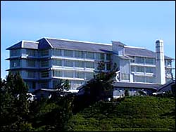 Tea Factory, Nuwara Eliya