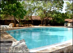 Yala Safari Game Lodge