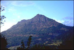 Hill Country SriLanka